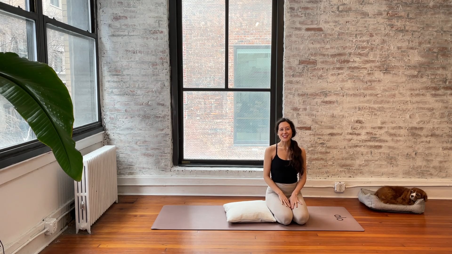 hip love (2.03 live class)