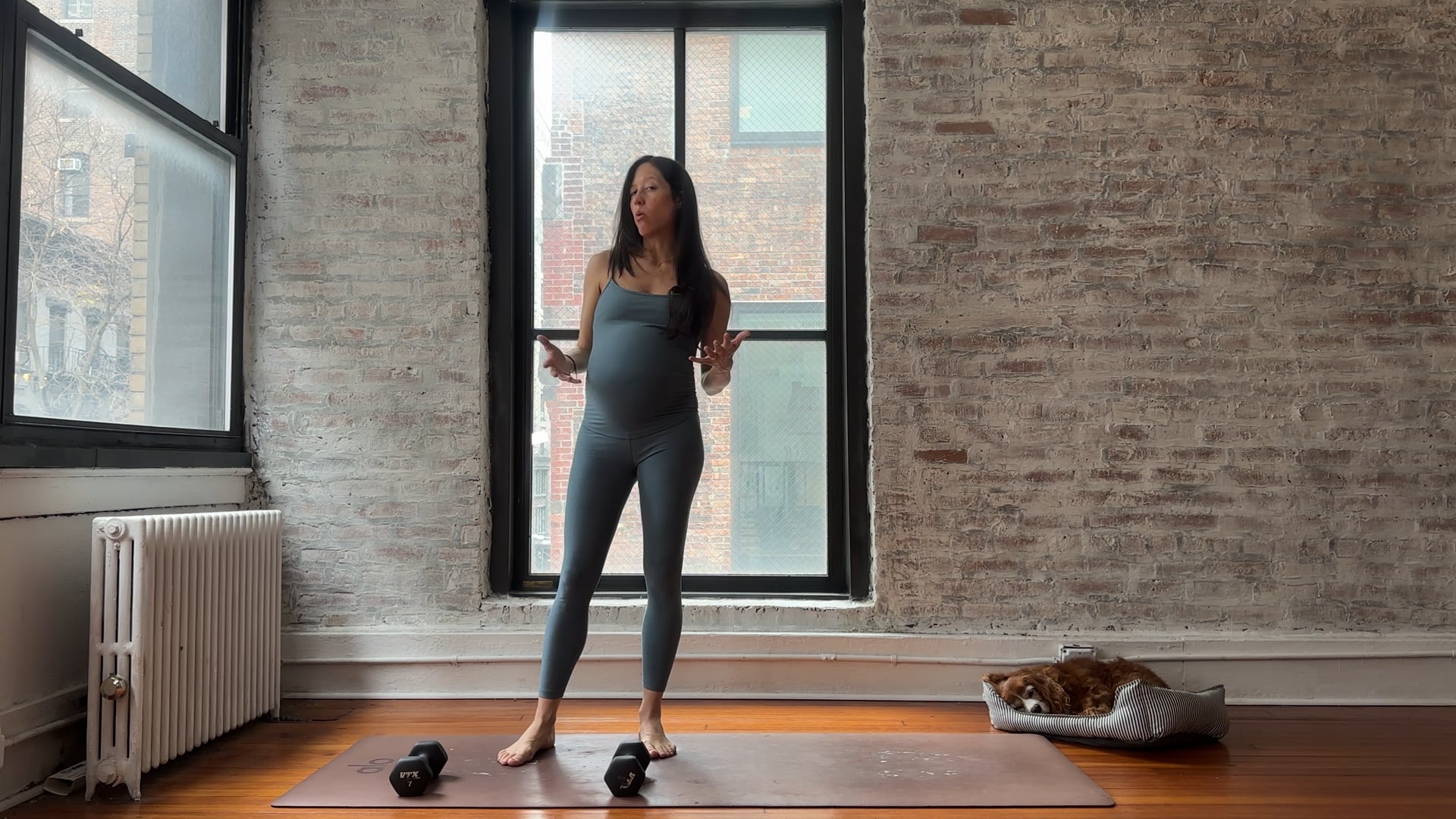 26.Full Body Core Focus with Weights (High Energy)