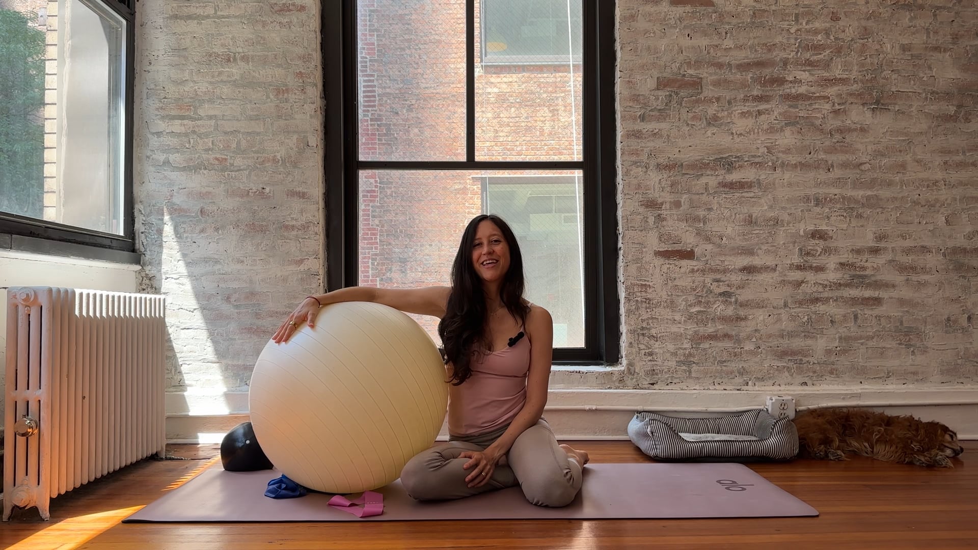 15. Pelvic Floor Strengtheners with Pregnancy Ball