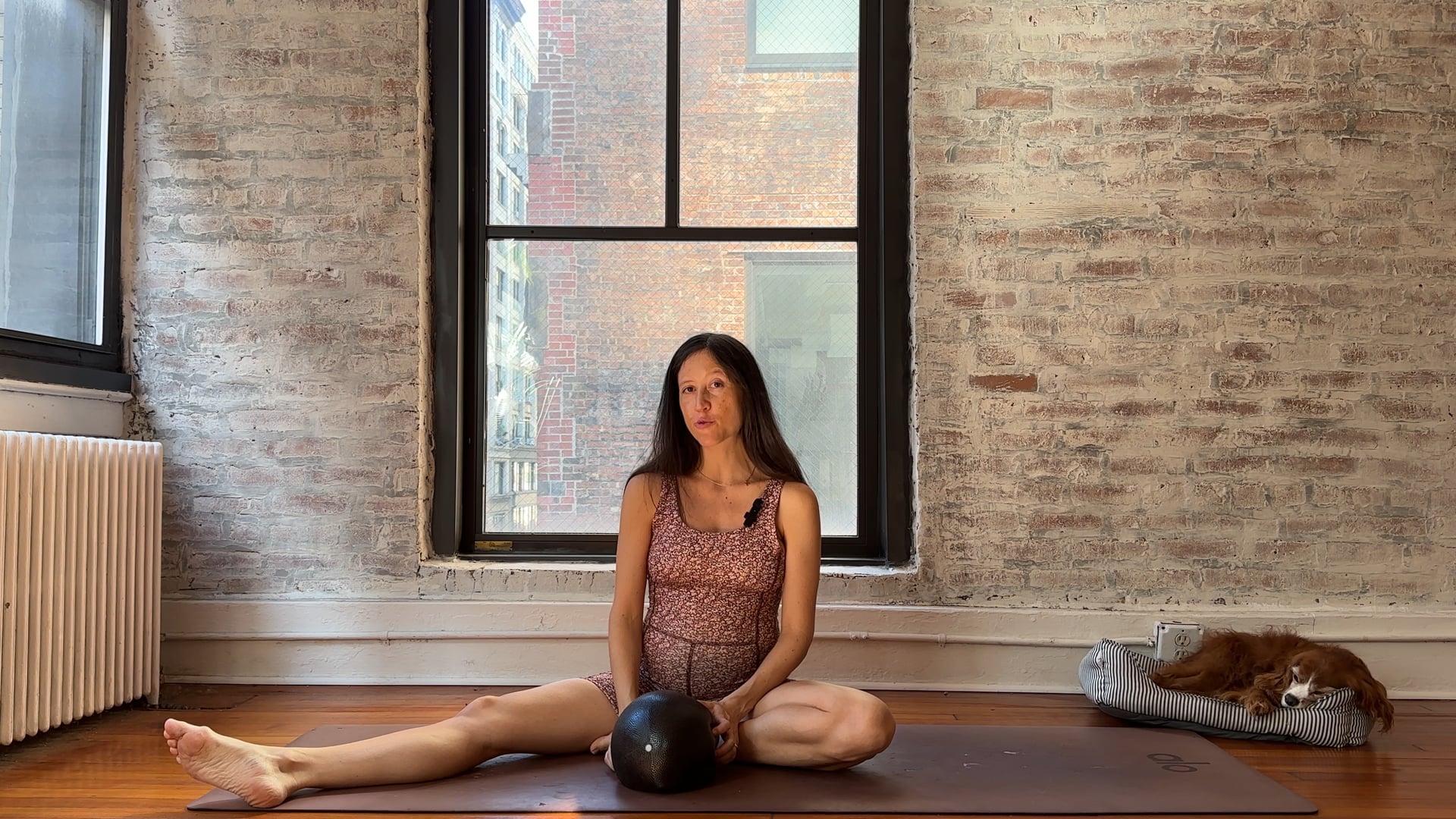 40. Full Body Connecting using a Ball or Pillow (lower energy)