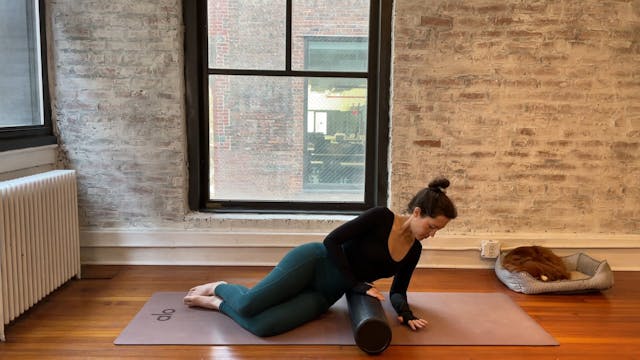 roller release // hips + psoas