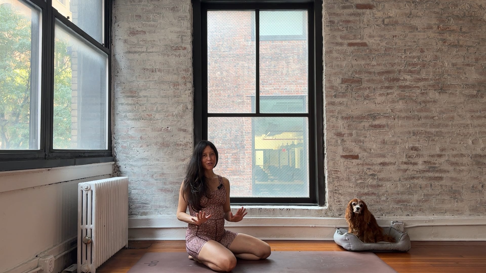 35. Creating Balance Full Body  (Medium Energy)