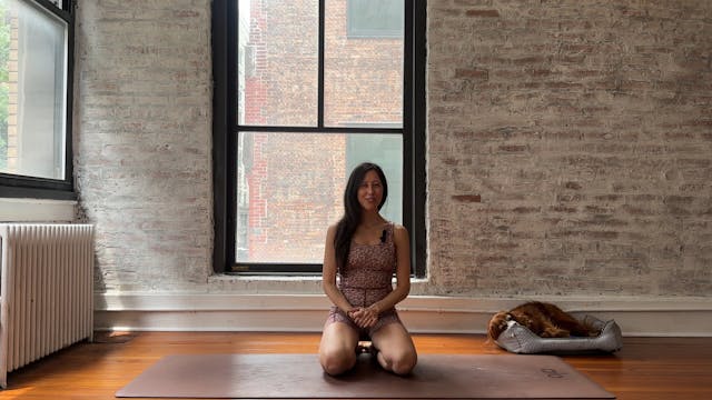 10. Flow Class (Revive) Side Abs and ...