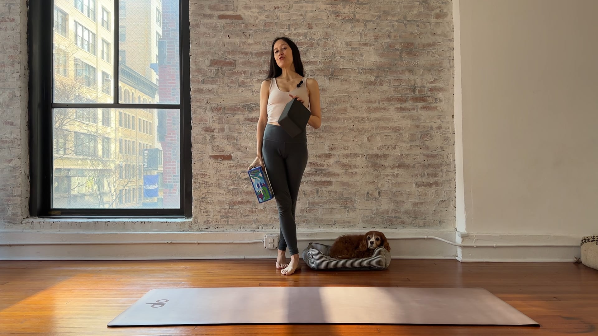 32. The Lunge Series