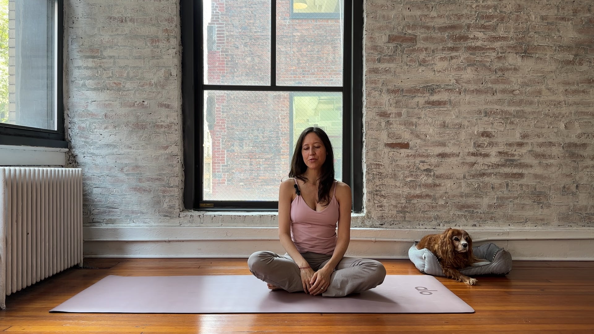 17. Upper Back, Neck & Shoulder Reset + Postural Activation