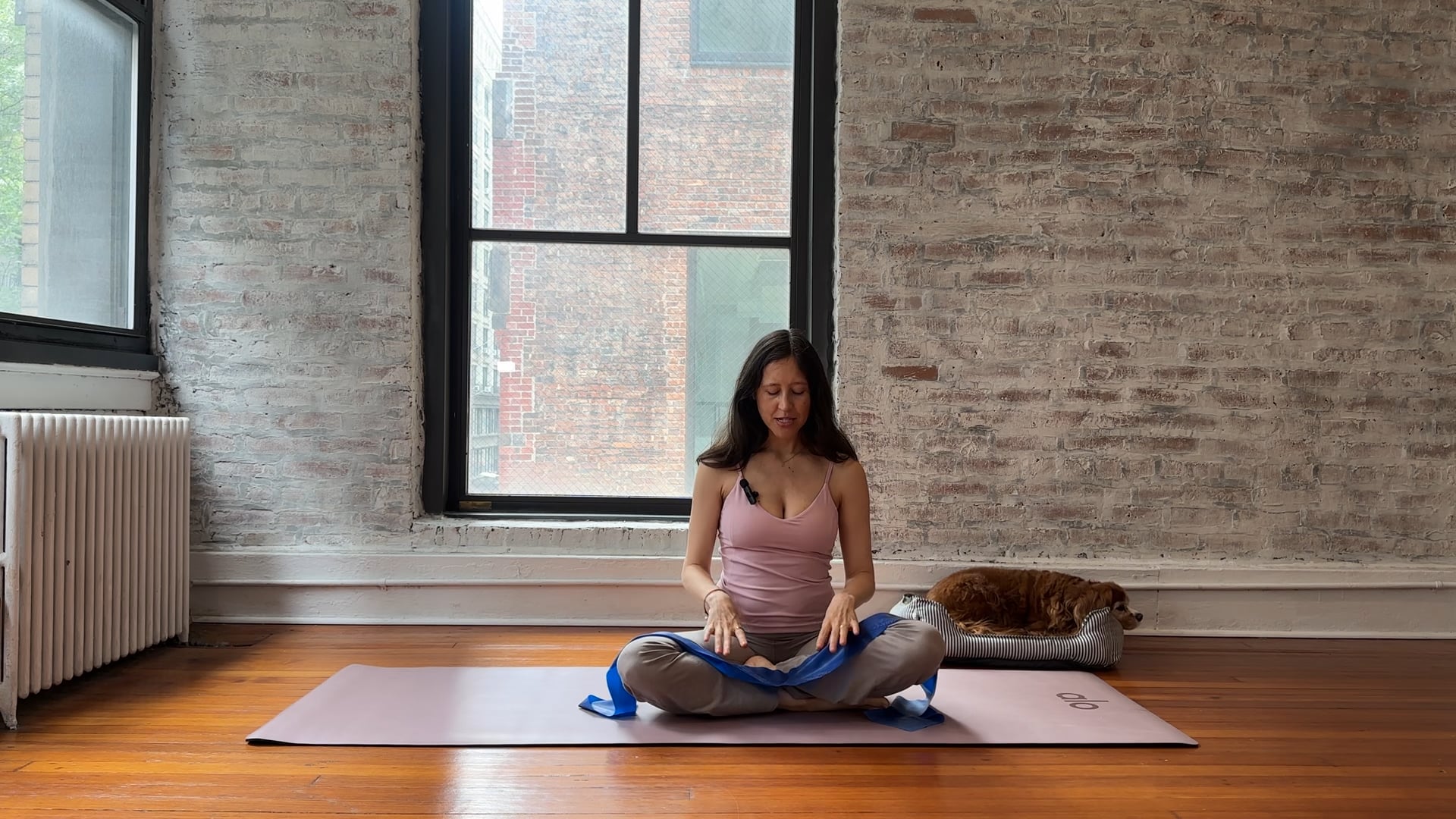 8. Full Body Strength + Openers with Theraband