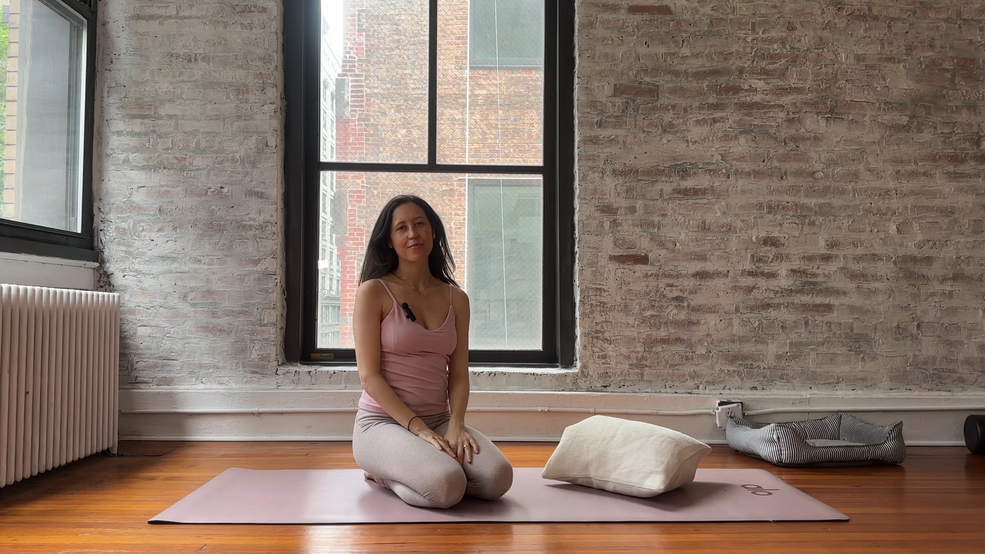 10. Full Body Strength + Deep Core Connection with a Pillow