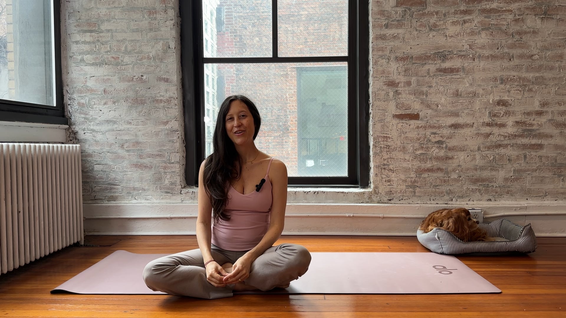 Class 7: Psoas Release and Core + Arm Integration