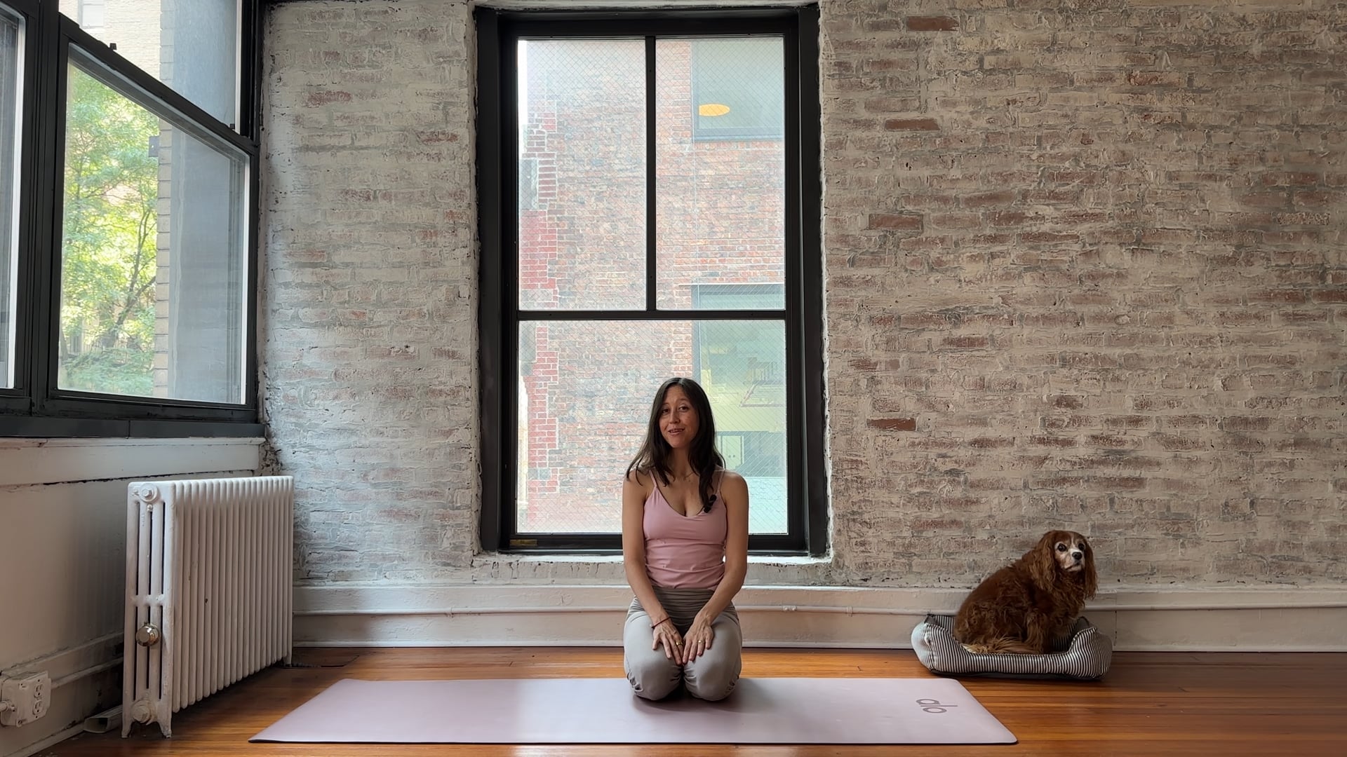 Revive • Yoga-Inspired Full Body Flow (Chest + Shoulder Opening)