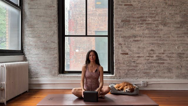 47. Full Body with Yoga Brick (Medium...