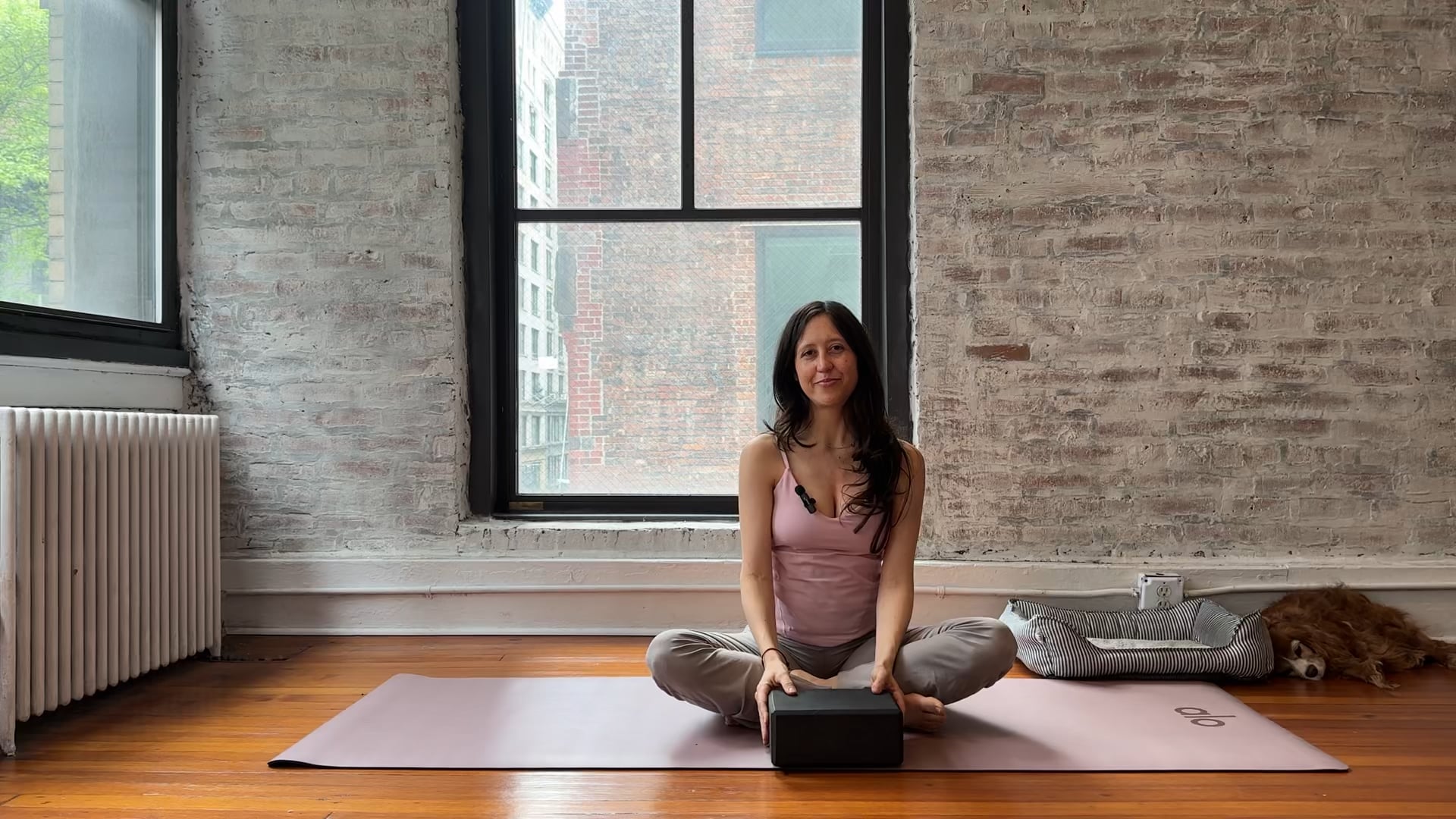 Class 5: Pelvic Mobility and Core Strength with Hip Shifts