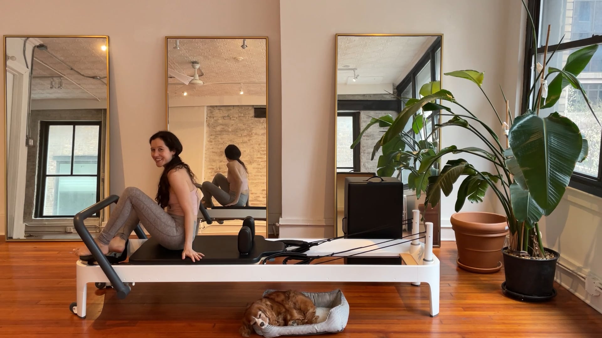 reformer // clean + connected