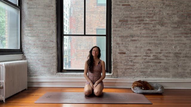 26. Express Full Body Flow Class (Hig...