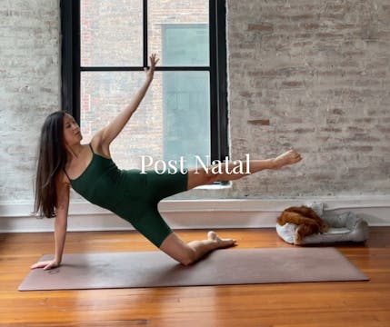 Post Natal