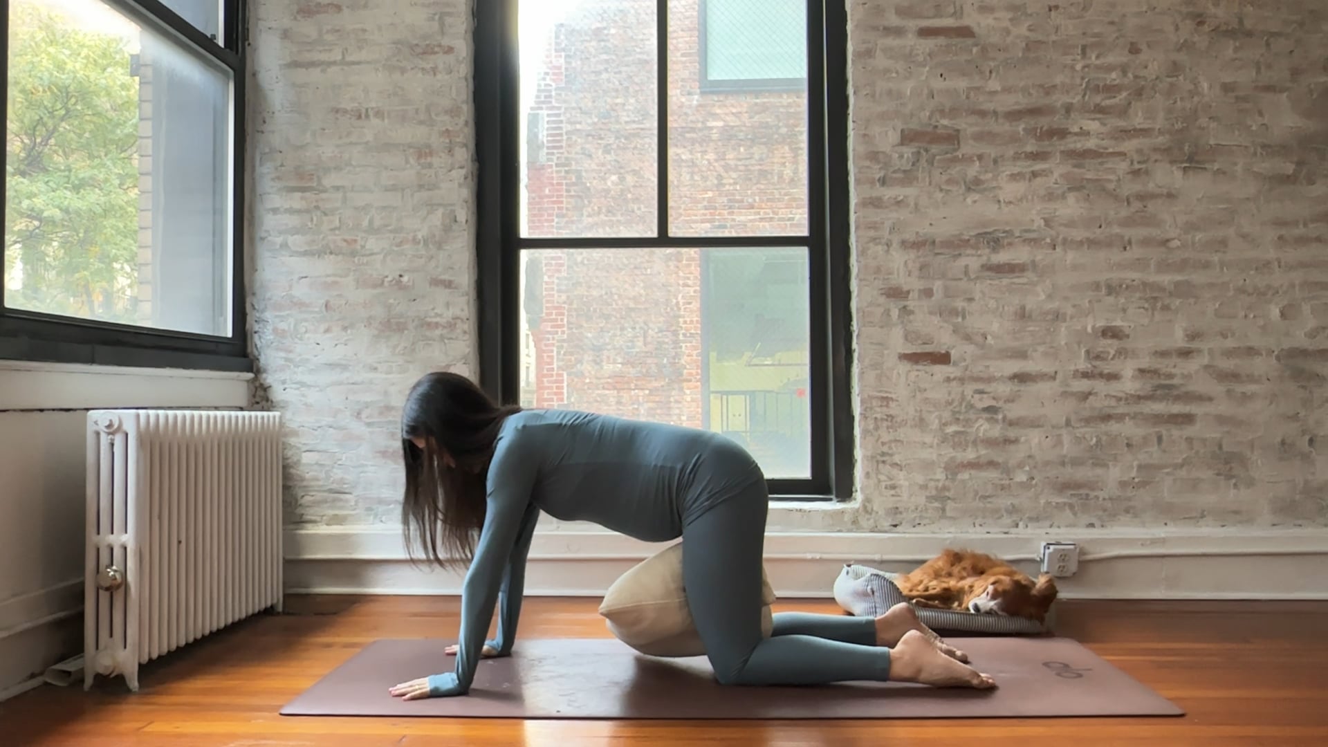 1. Core  (Low/Medium Energy)