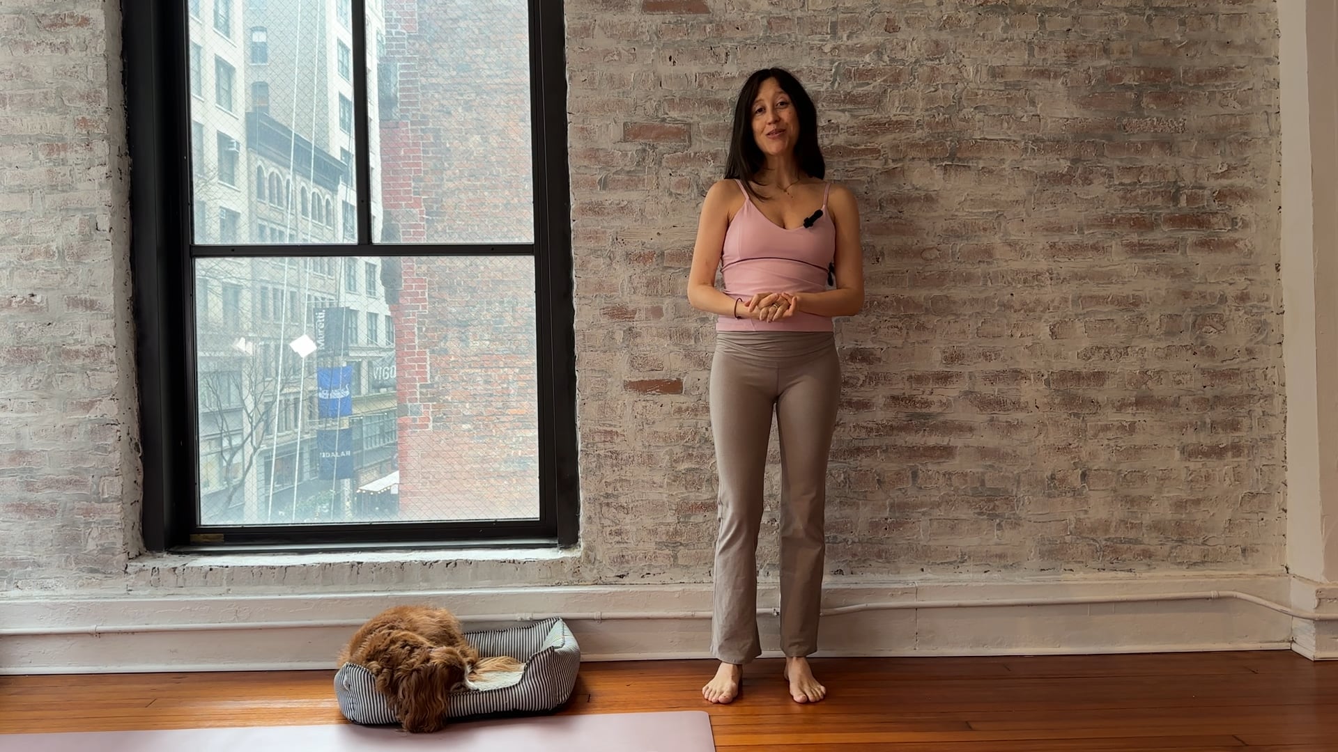 Class 8 - Wall Support for Core Strength + Upper Back Release