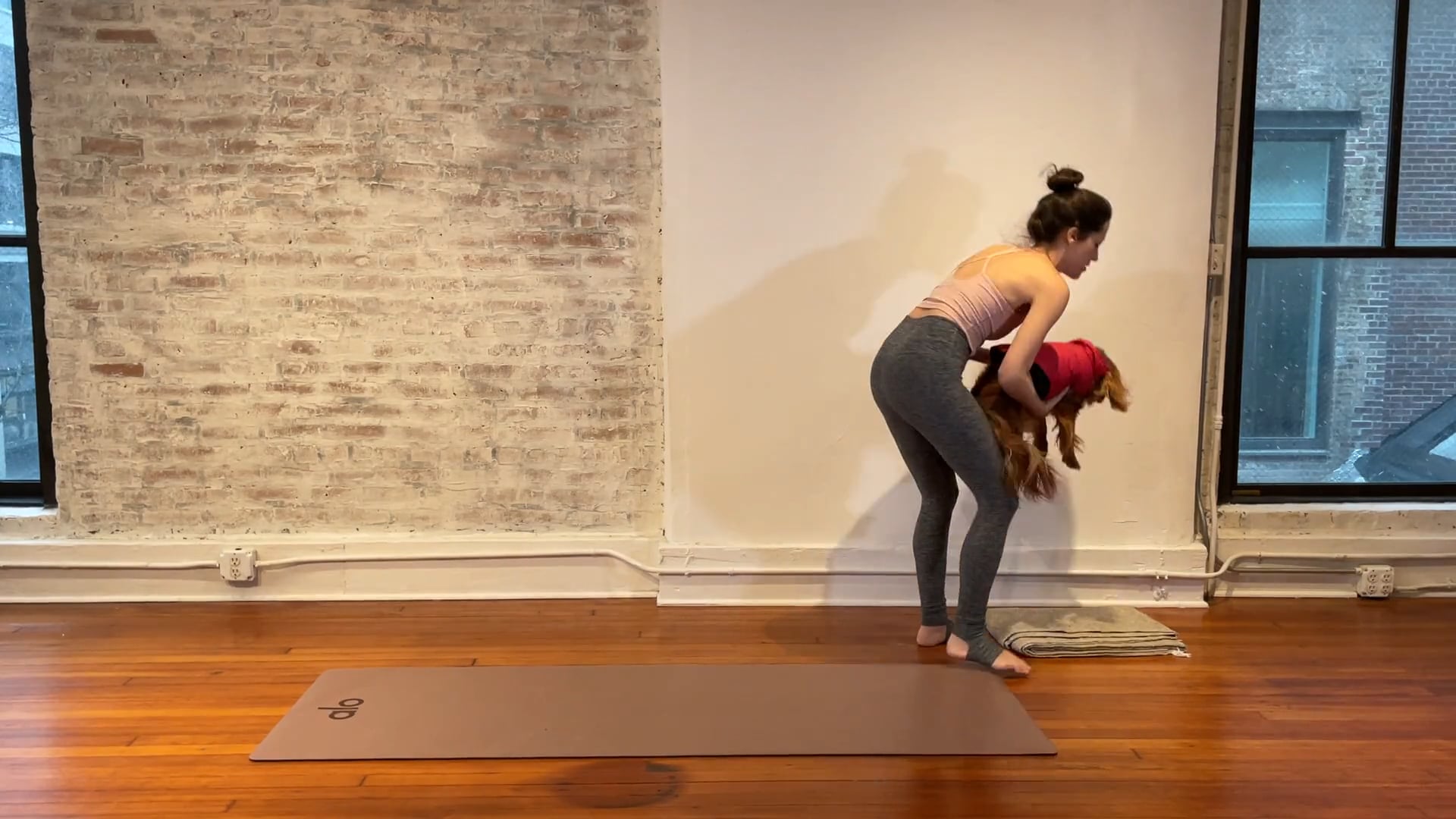 the flow (12.09 live class)