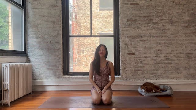 14. Full Body Flow (Medium Energy)