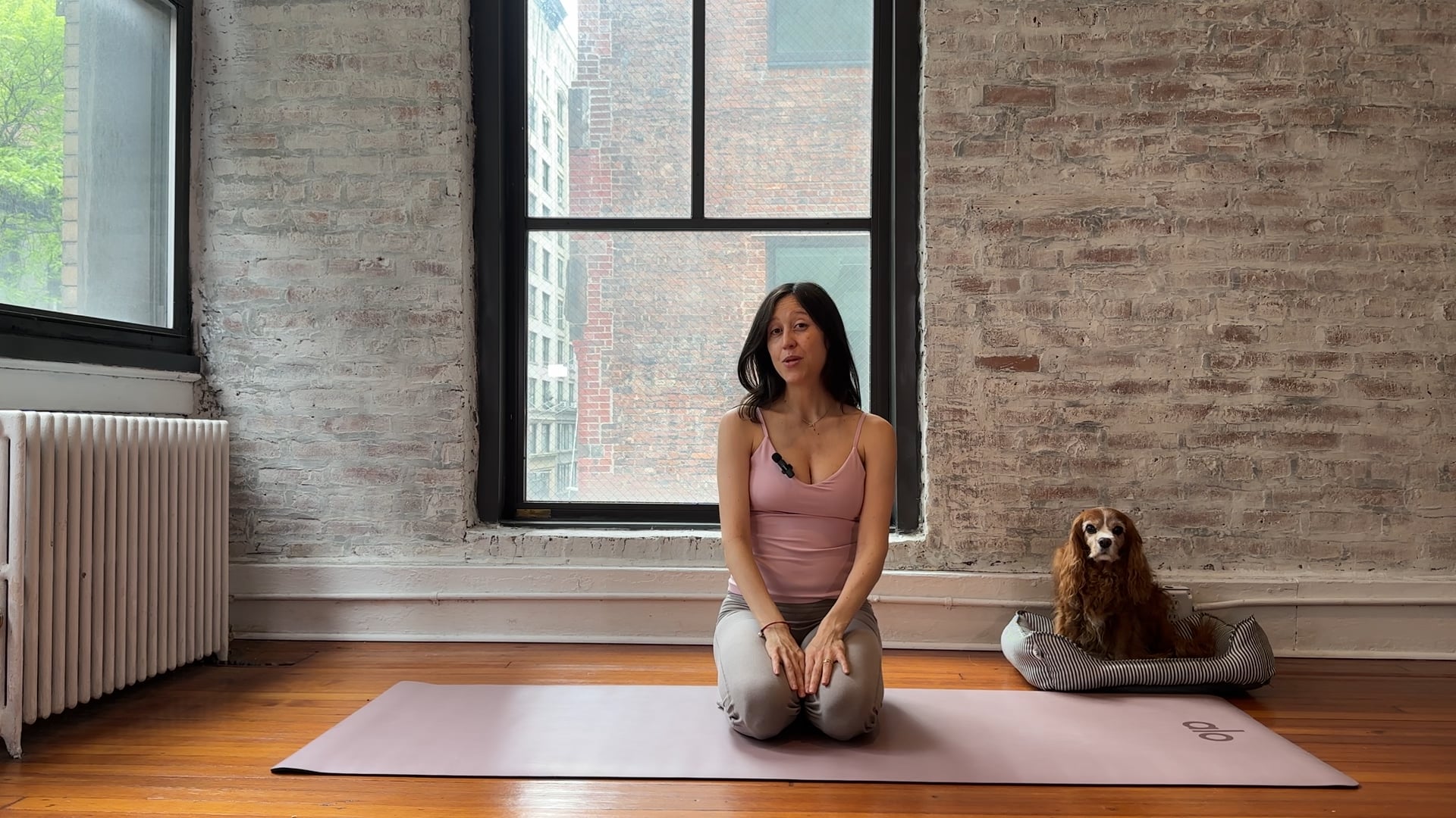 Class 6: Release Back and Chest, Strengthen Core, Glutes, and Postural Muscles