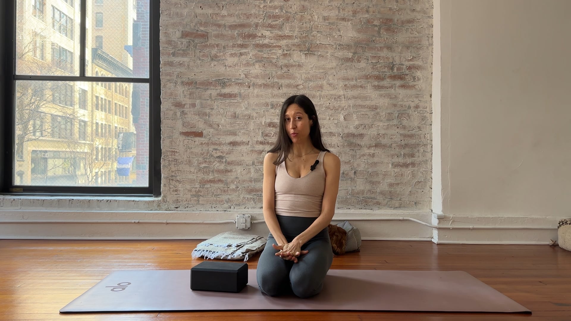 17. Hip Mobility and Stability: Building Control