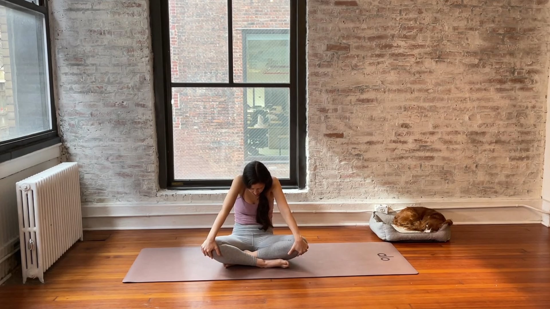 gyrokinesis® mat (2.17 live class)