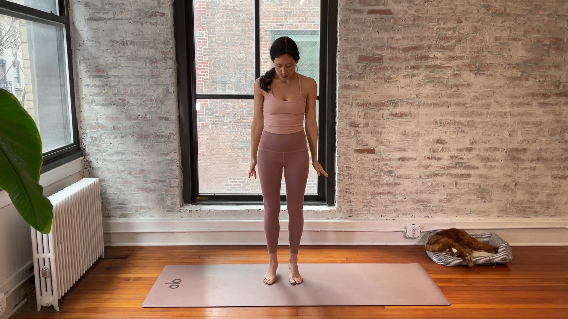 the express flow (1.13 live class)