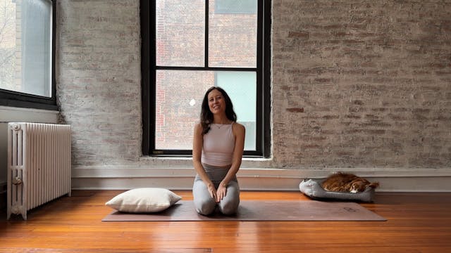 5. First Release Video