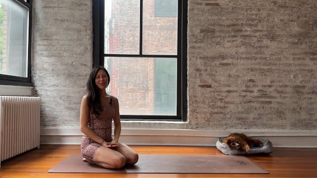 13. Back Release (Lower Energy)