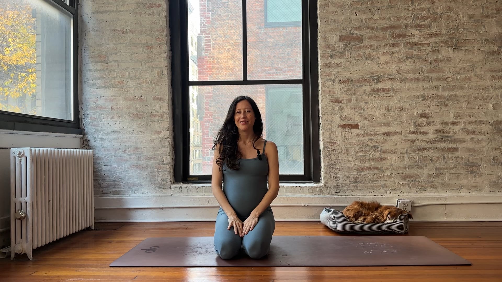 15. Core with Hip and Pelvic Openers (Medium Energy)