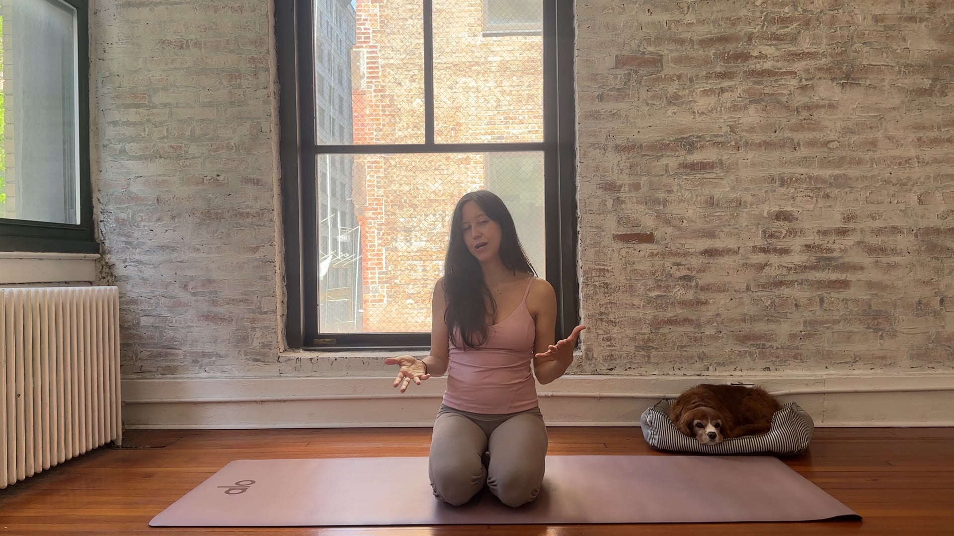 Class 7: Hip Mobility & Postural Strength for Core Recovery