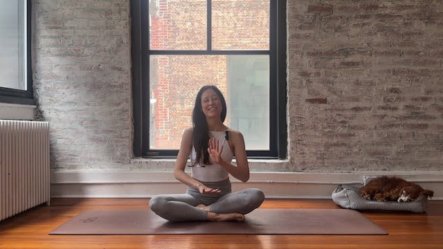 20. Revive All about Hips