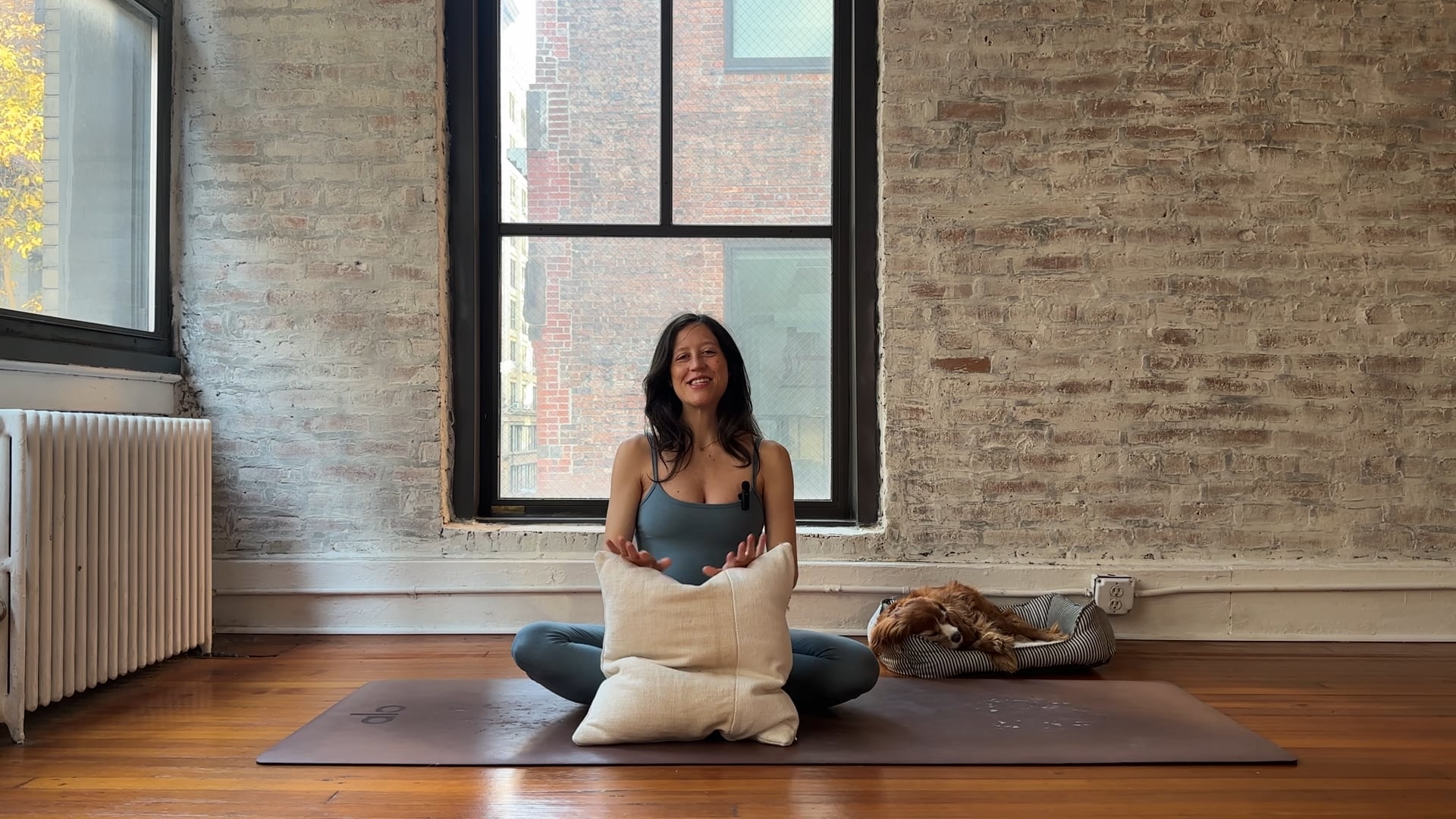 14.Core Work with Pelvic Floor Openers using a Pillow (Low Energy)