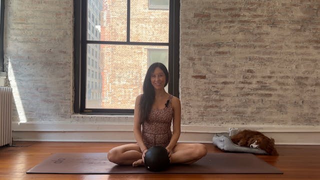 19. Full Body with Ball (Medium Energy)