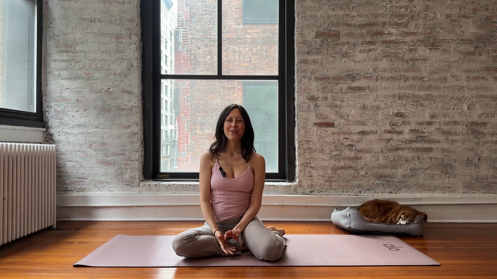 Class 3: Spinal Mobility, Chest Openers & Core and Glute Support