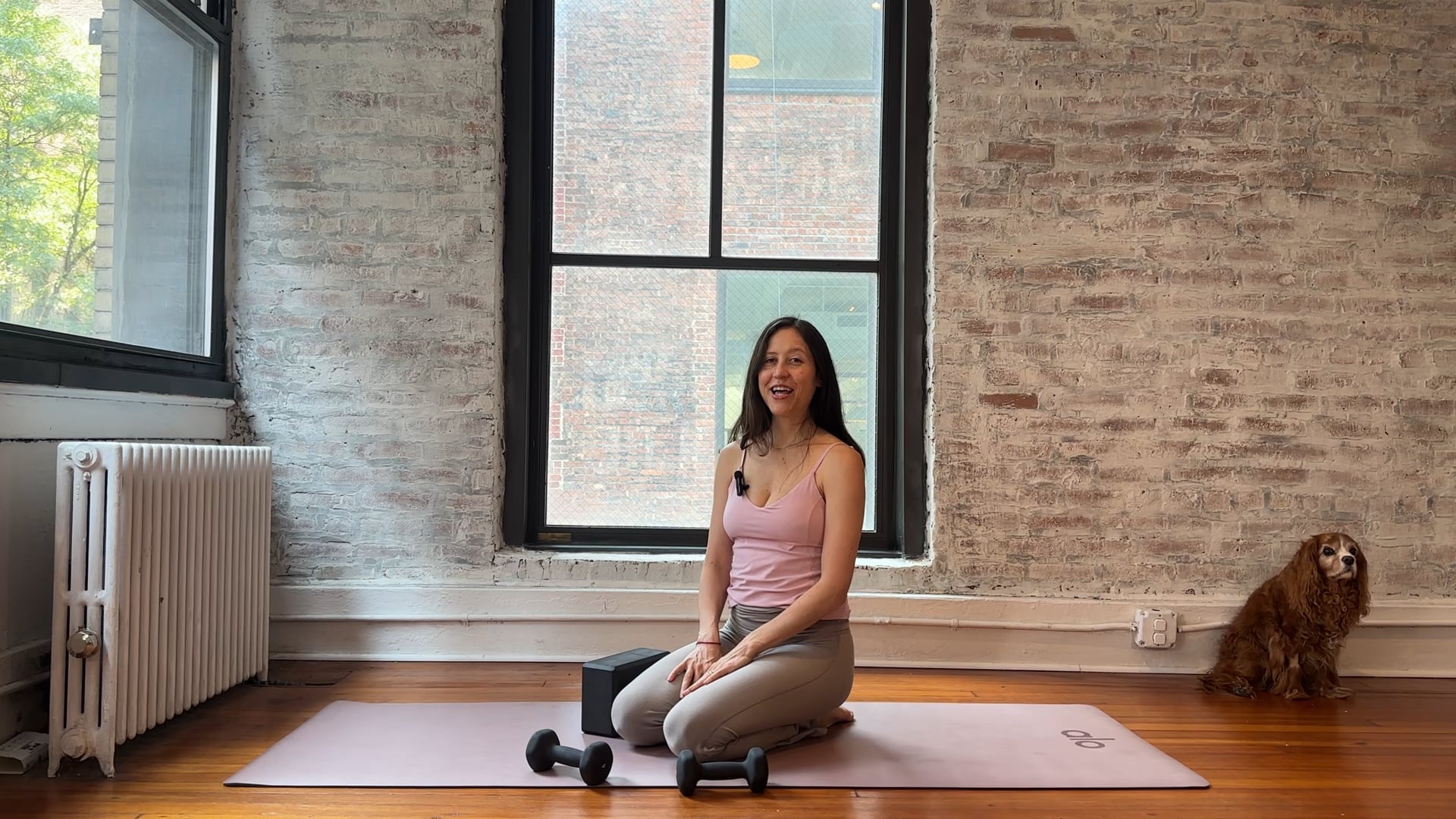 Reset • Full Body Symmetry (Deep Activation + Cross-Body Strength)