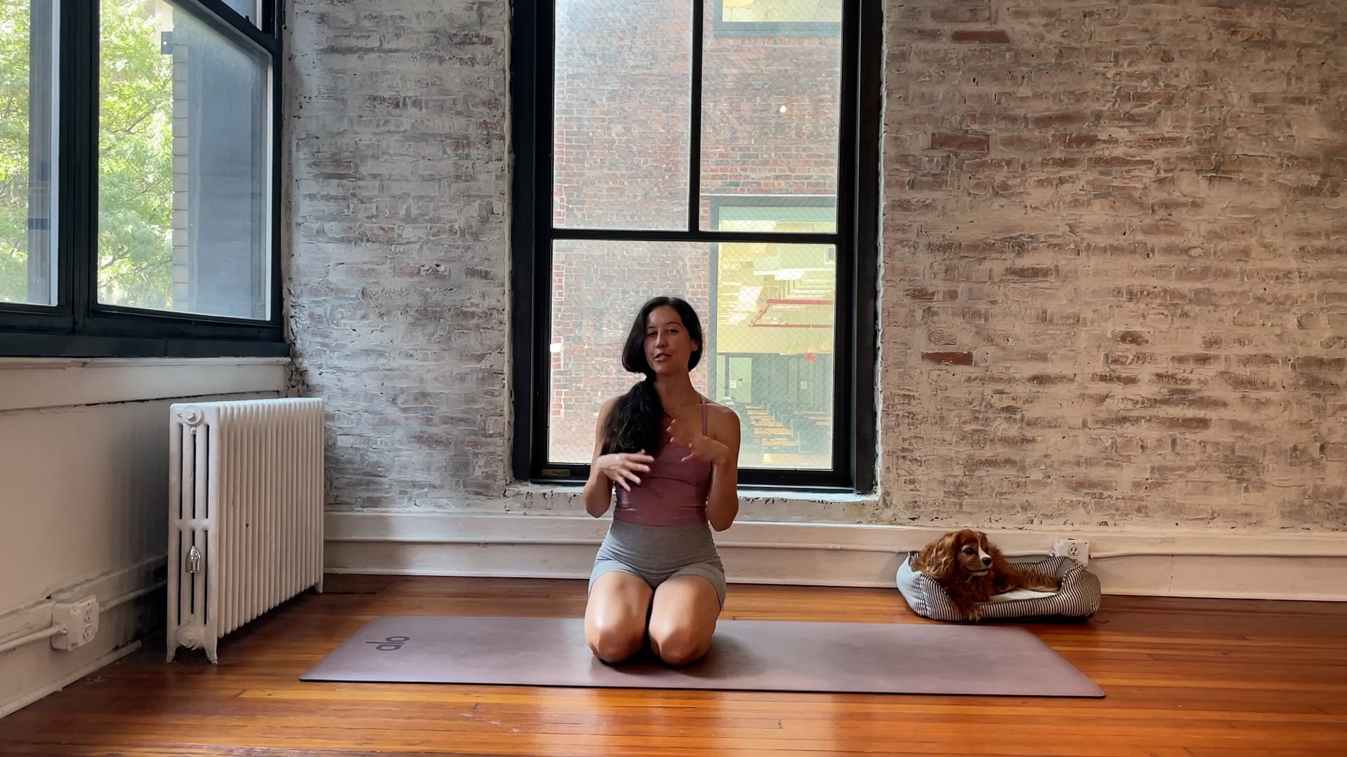 mini flows // circuit class