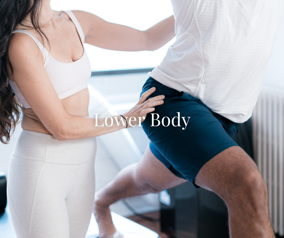 Lower Body