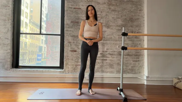 19. Shoulder opener: chest, serratus,...