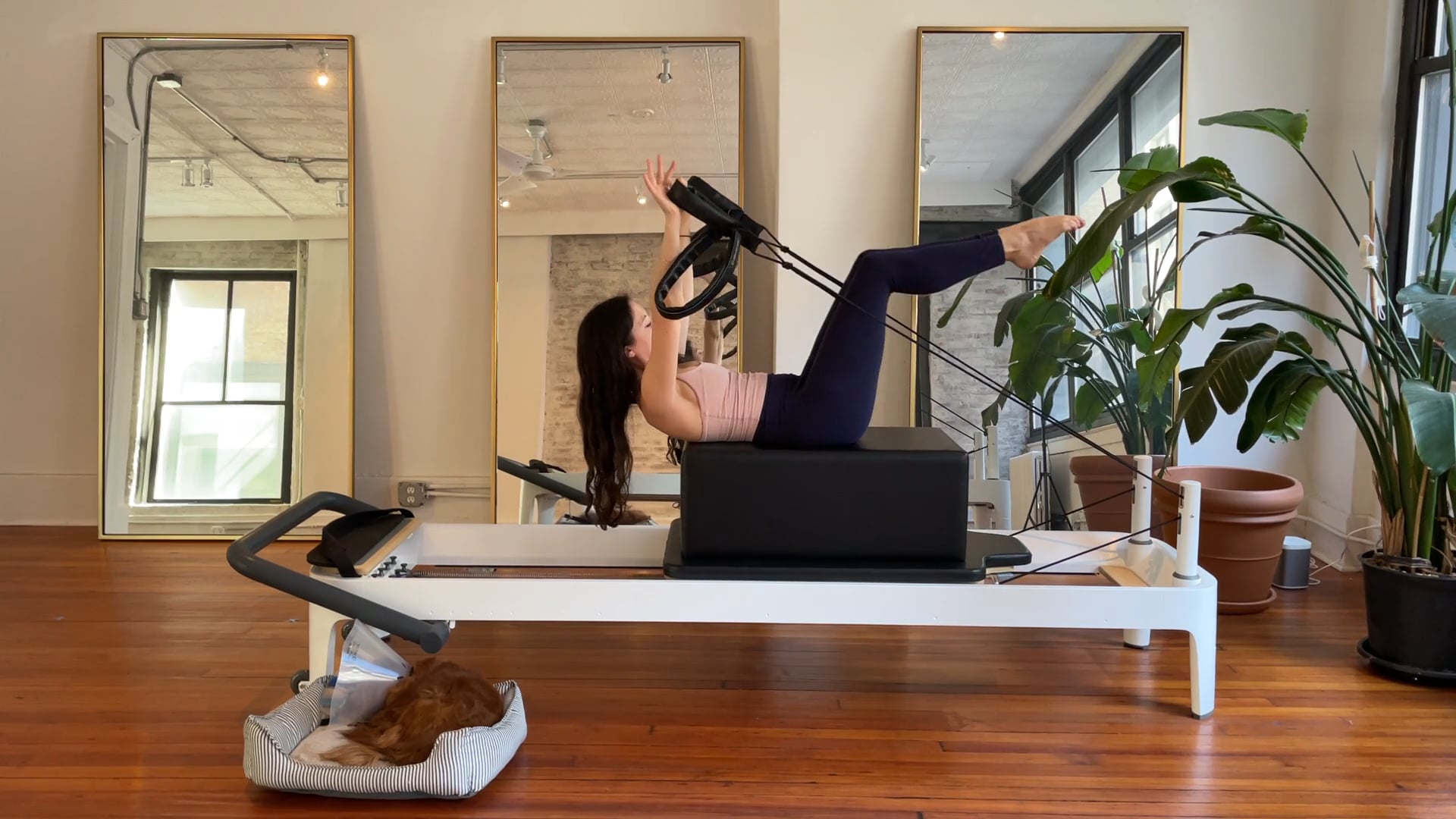 reformer // full body