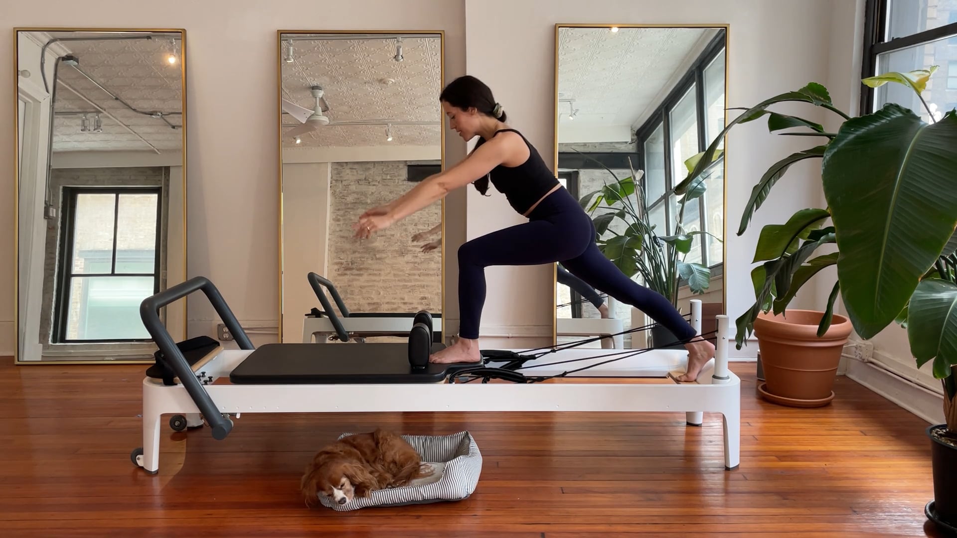 reformer // core + glutes