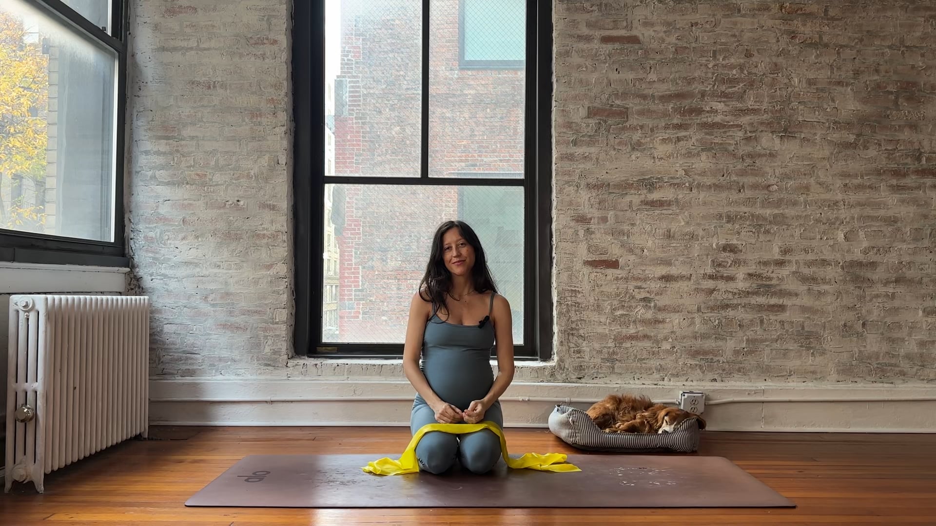 16. Arms and Core using a Theraband (Medium Energy)