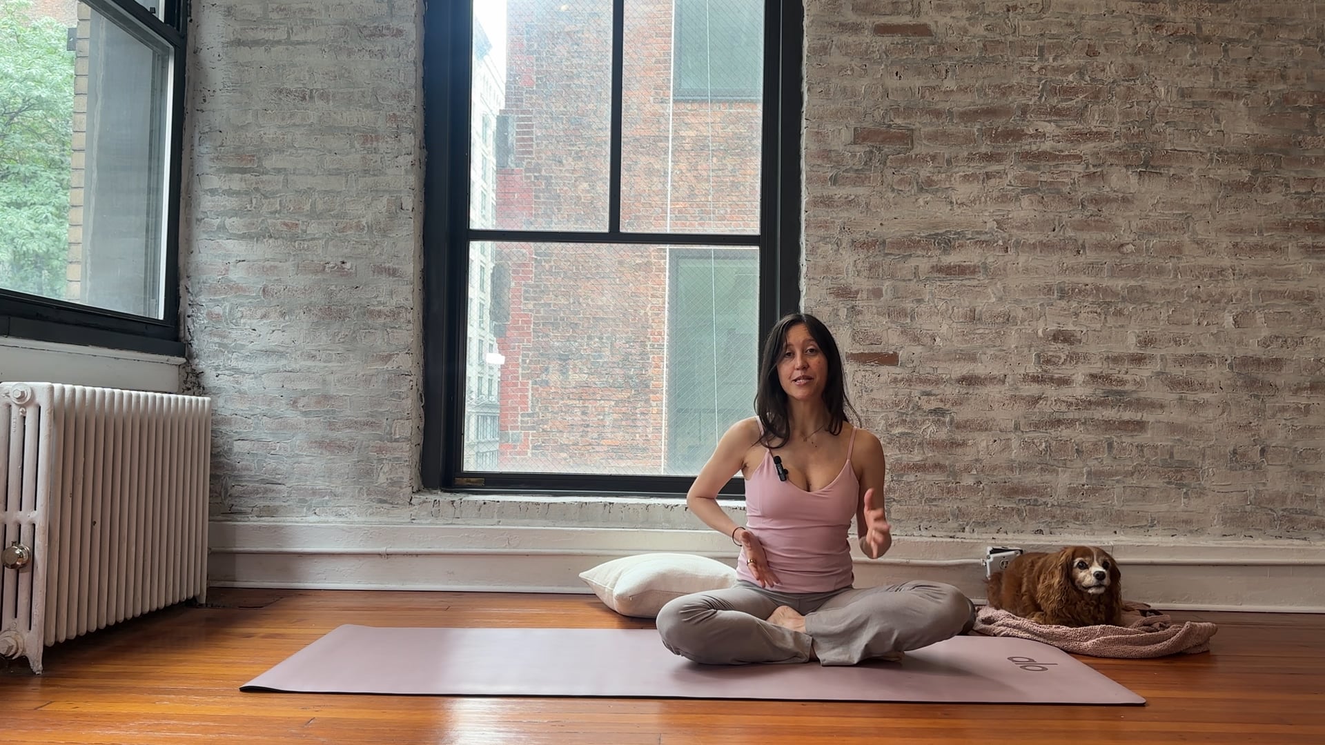 11. obliques and glutes with weights FULL (RESET)