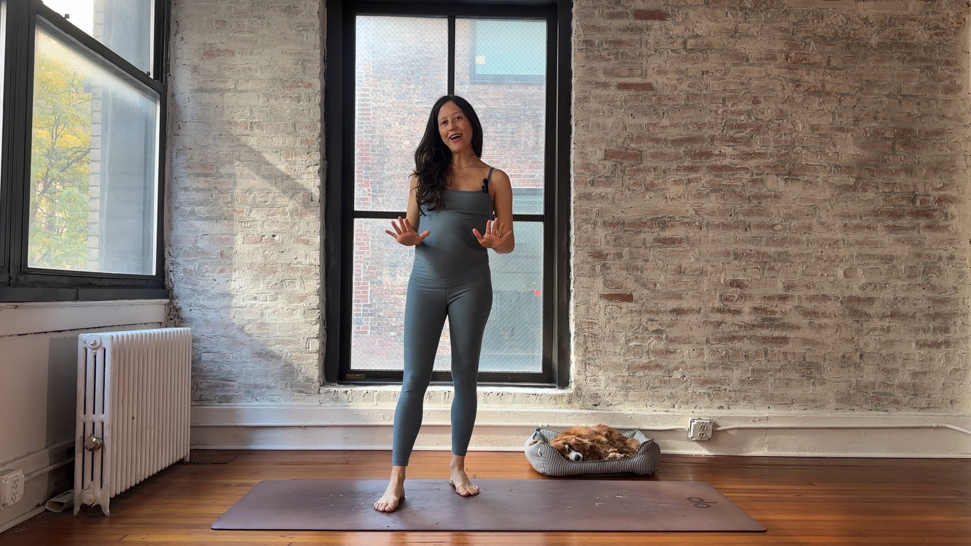 6. Low-impact Full Body Flow Creating Space and Building Strength (Low Energy)