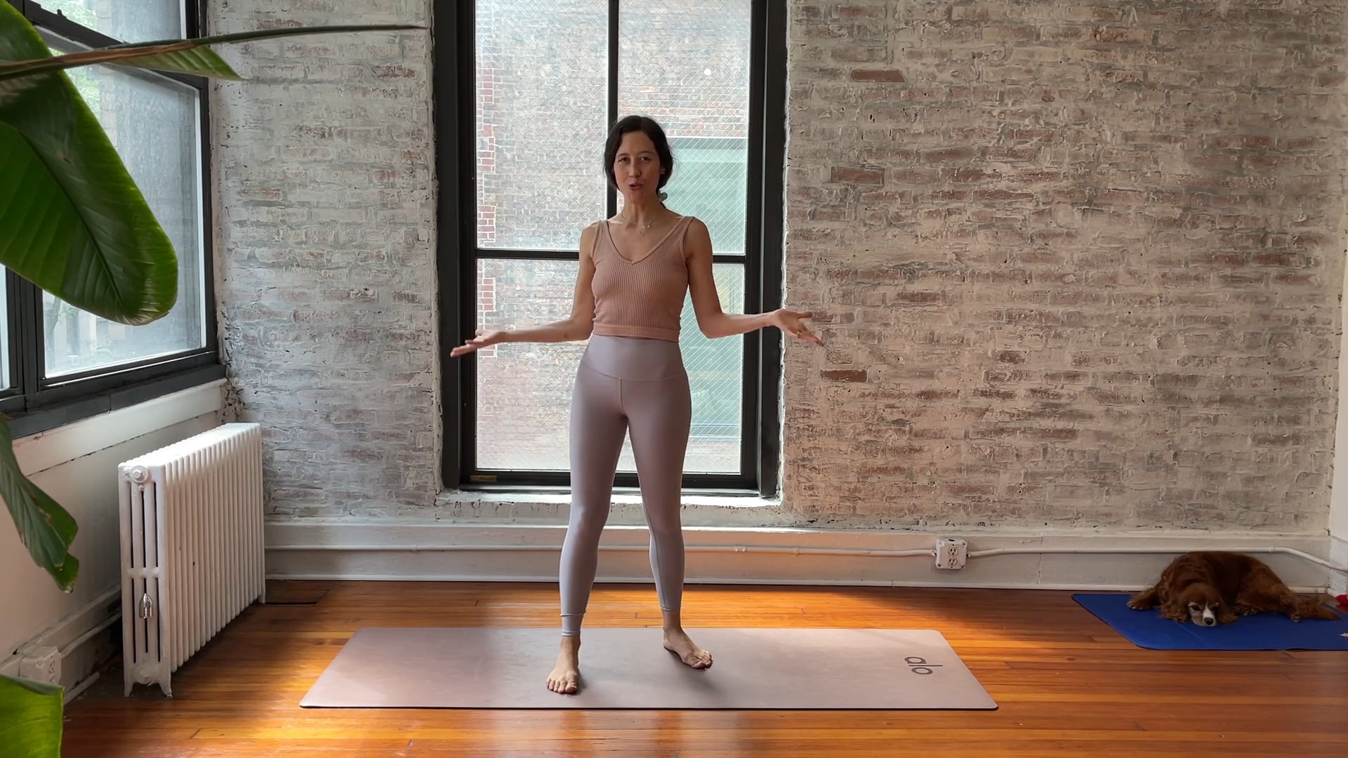 flow stretch // shoulders + chest