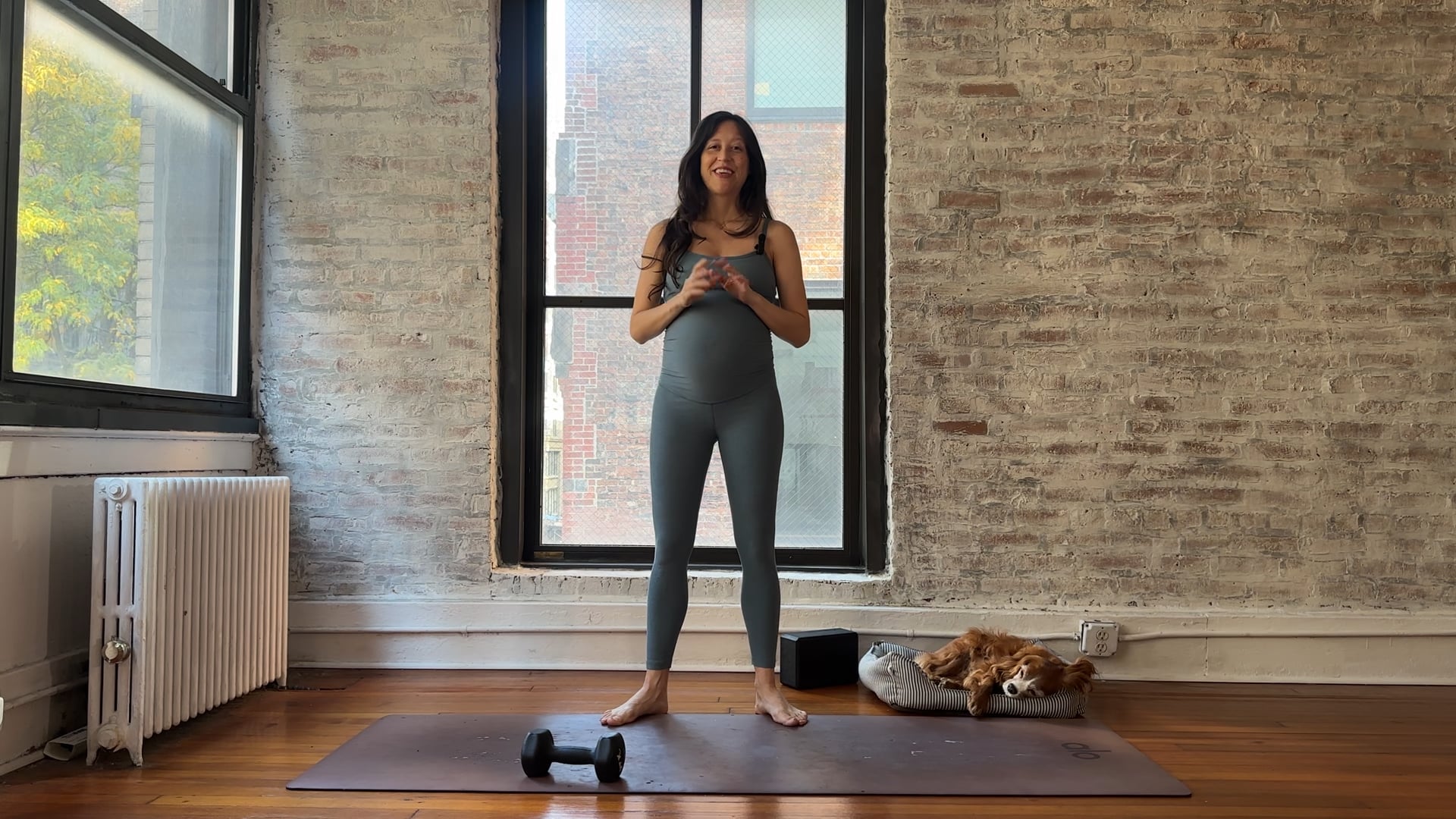 4. Full Body Core Focus with Weight (Medium Energy)