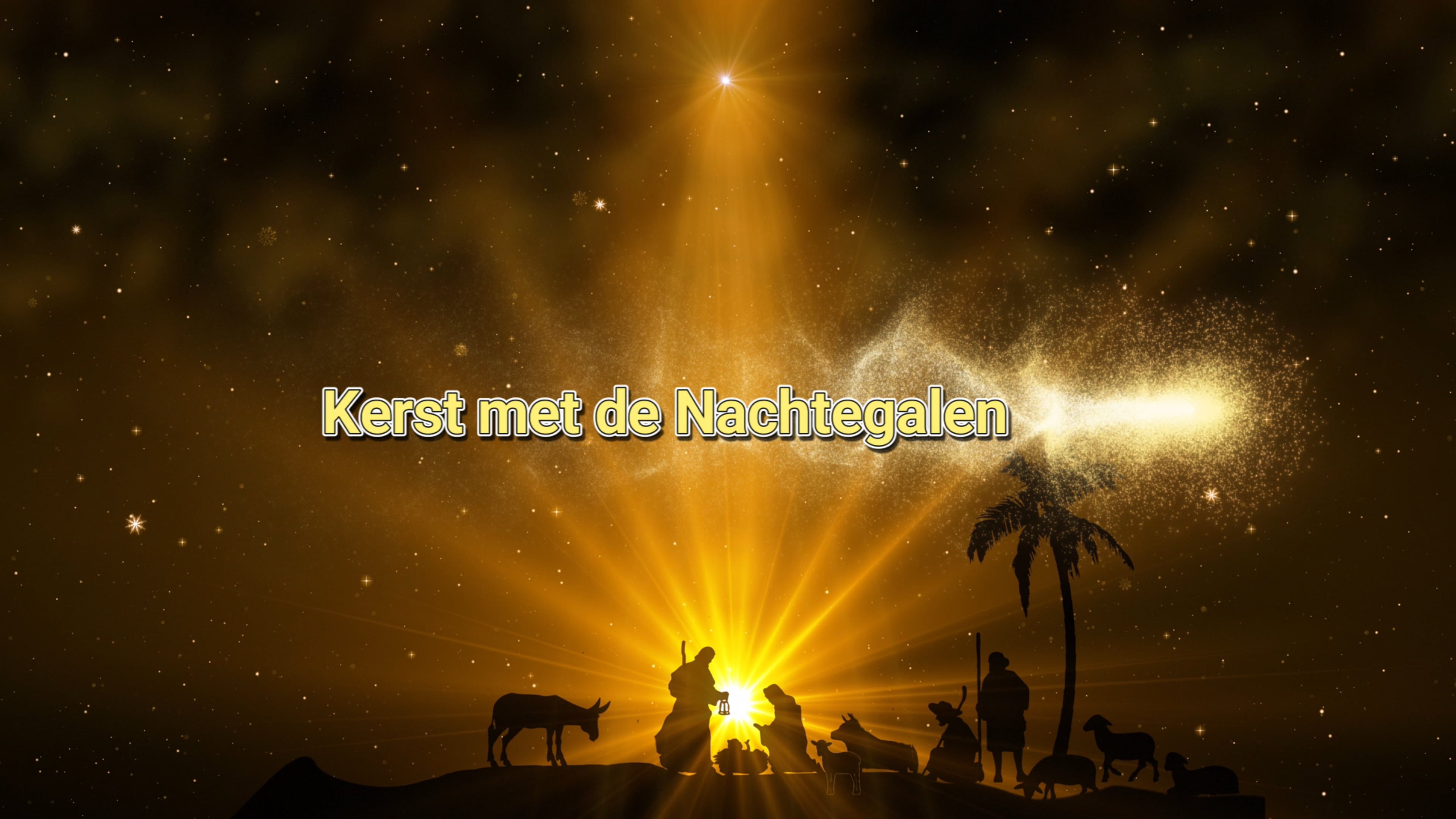 De Nachtegalen nestelen zich in de kerstkribbe van de Catharinakerk.