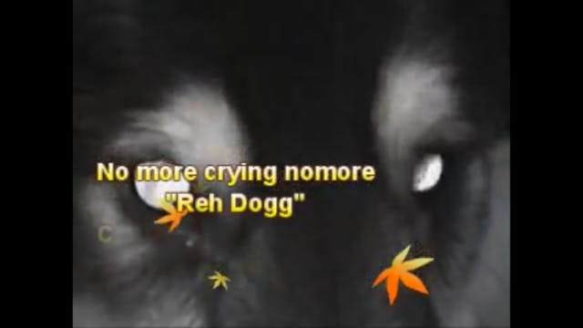 No more crying no more