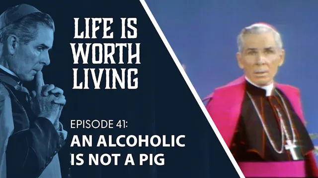 41. An Alcoholic is Not a Pig