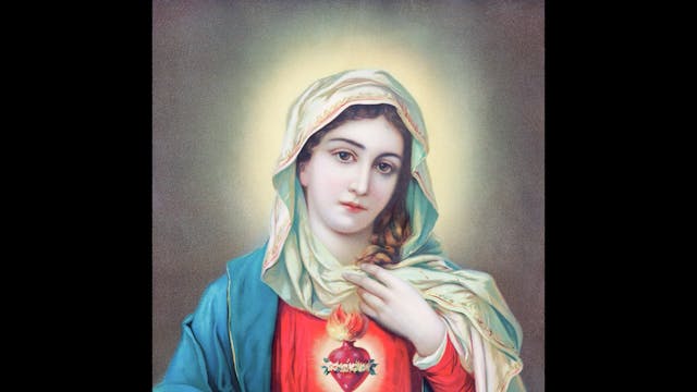 How Can I Defend the Teaching of Mary...