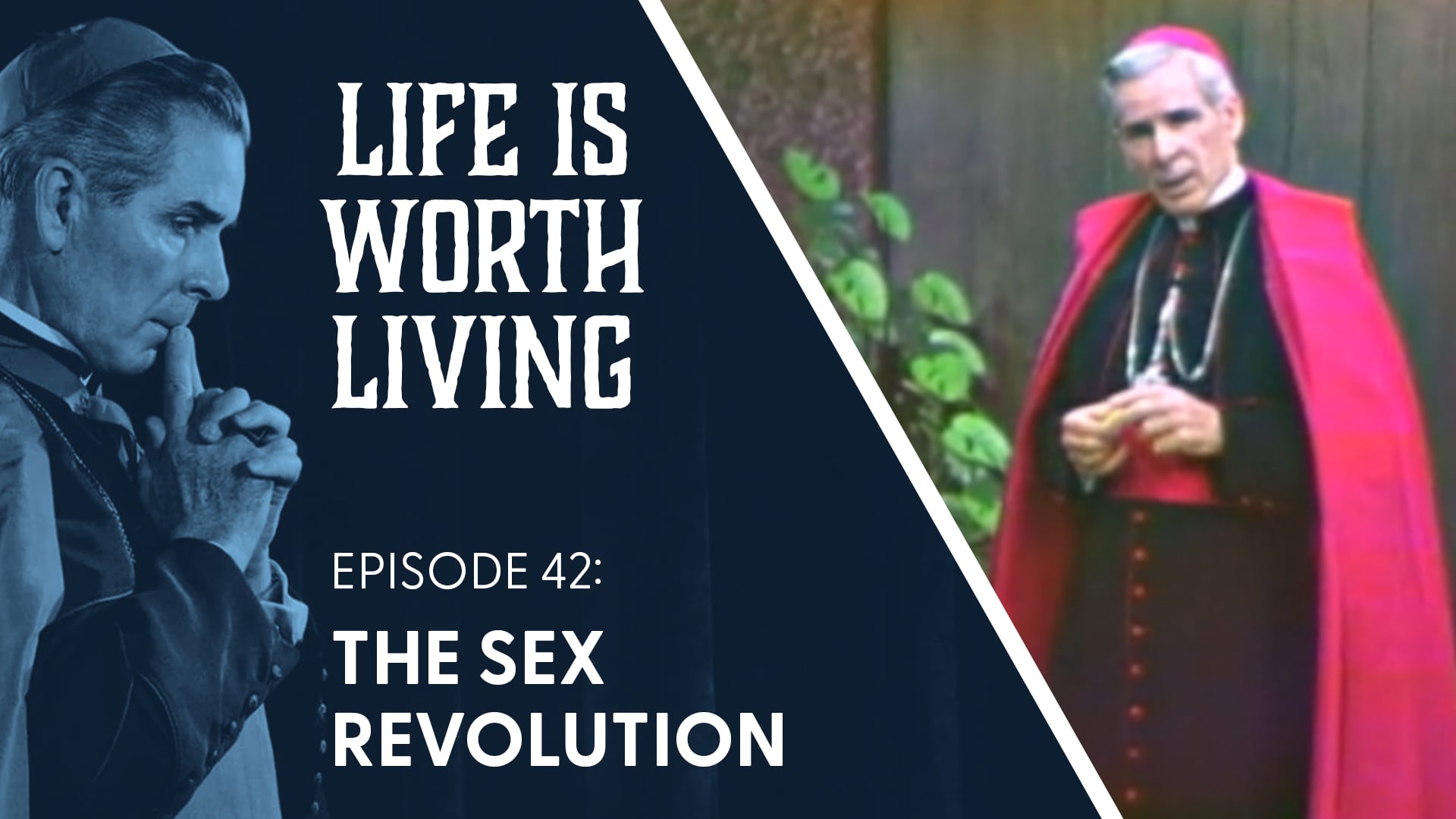 42. The Sex Revolution
